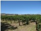 6 Lyndoch Valley Road, Williamstown SA 5351