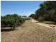 6 Lyndoch Valley Road, Williamstown SA 5351