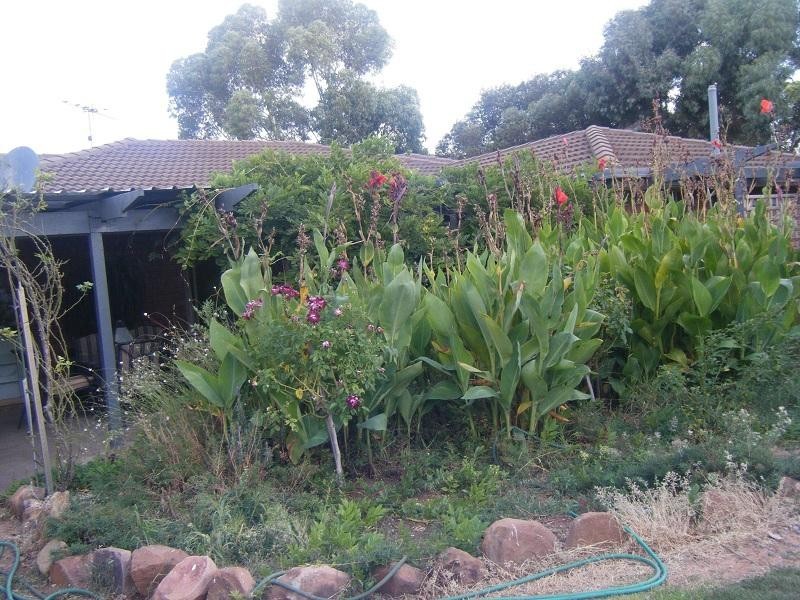 2 Samuel Potter Lane, Lyndoch SA 5351