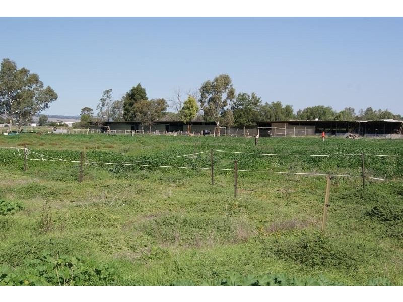 Lot 1 Stebonheath Road, Kudla SA 5115