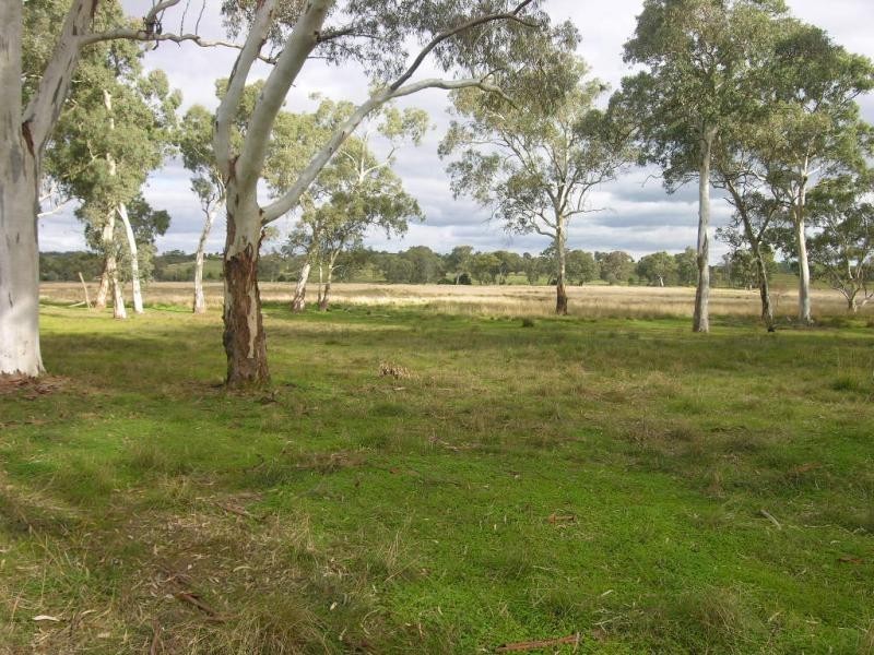 Lot 2 Balmoral Road, Cockatoo Valley SA 5351