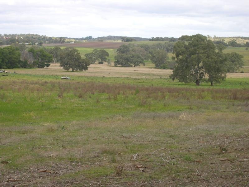 Lot 6 Balmoral Road, Cockatoo Valley SA 5351