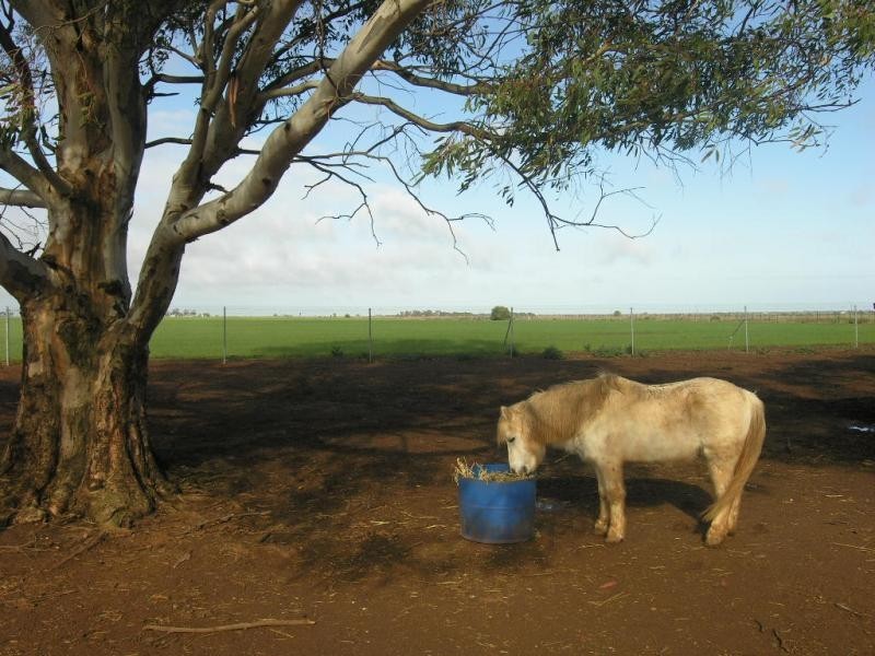 Lot 194 Fyfe Road, Hamley Bridge SA 5401