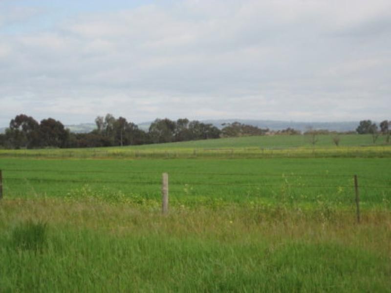 Lot 35 Clancy Road, Gawler Belt SA 5118