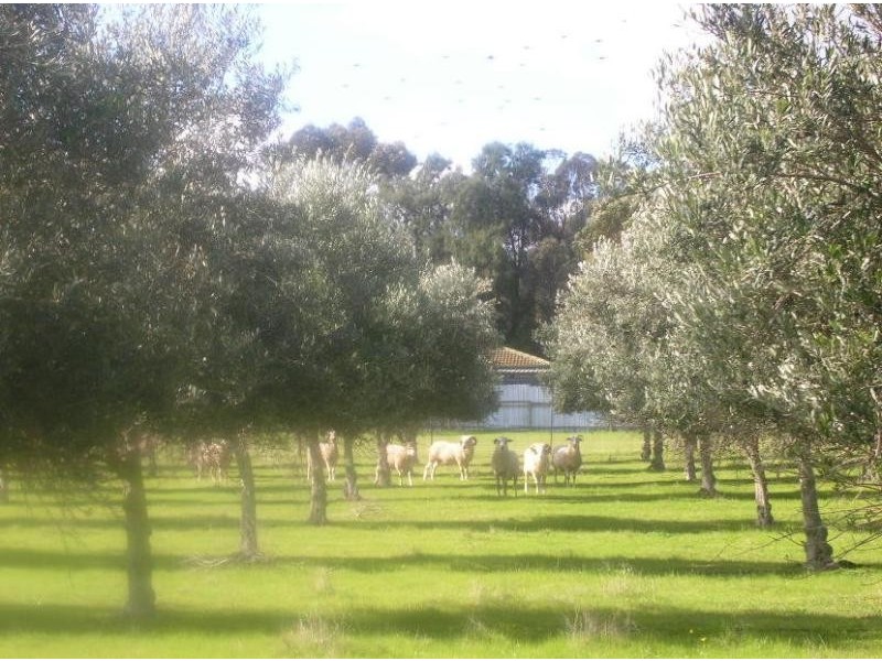 200 Hayman Road, Lewiston SA 5501