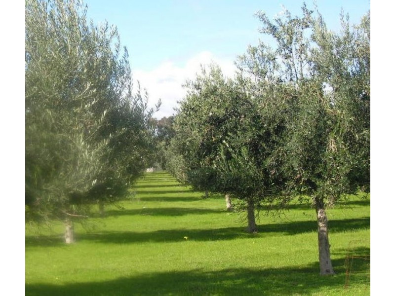 200 Hayman Road, Lewiston SA 5501