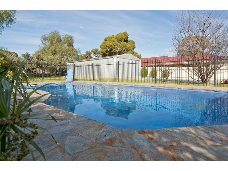 59 Main North Road, Willaston SA 5118