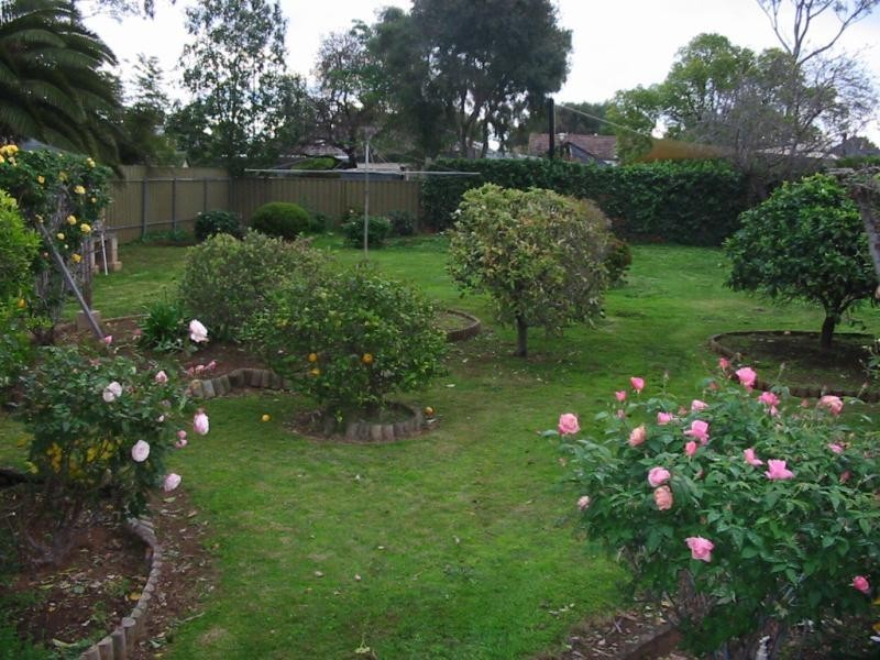 4 SIXTH AVENUE, Warradale SA 5046