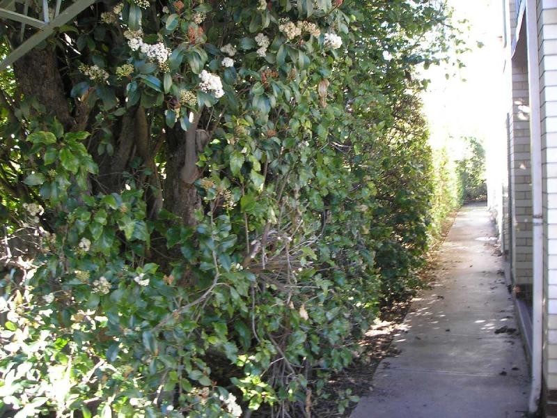 Unit 4/57 Cliff Street, Glenelg East SA 5045