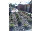 49 Cowan Street, Angle Park SA 5010