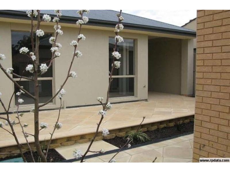 42 Swan Street, Grange SA 5022