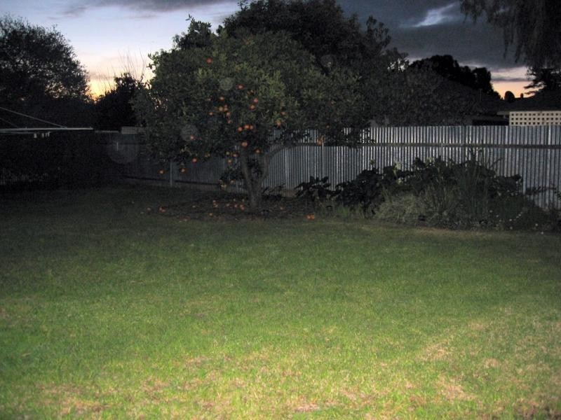 2 Freeman Avenue, Tranmere SA 5073