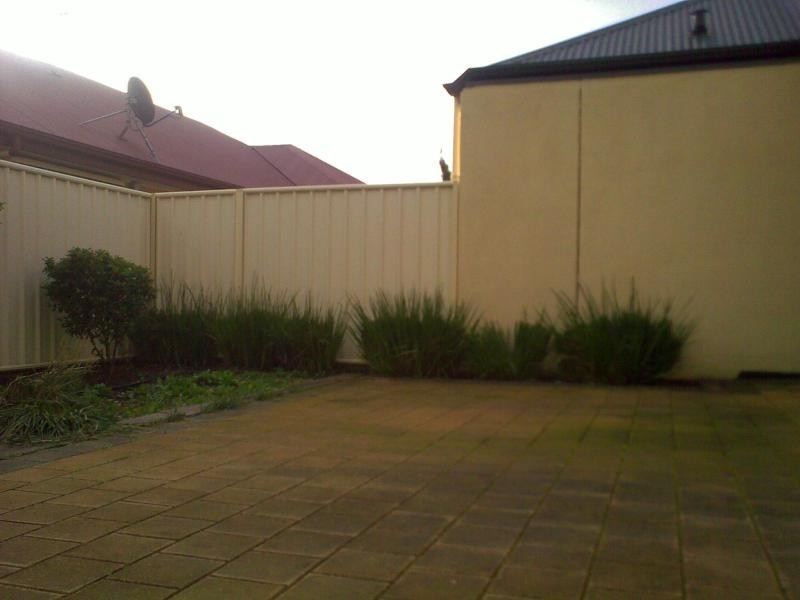 19 Windana Mews, Glandore SA 5037