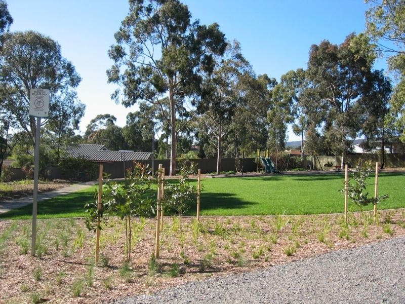 16 Barns Avenue, Highbury SA 5089