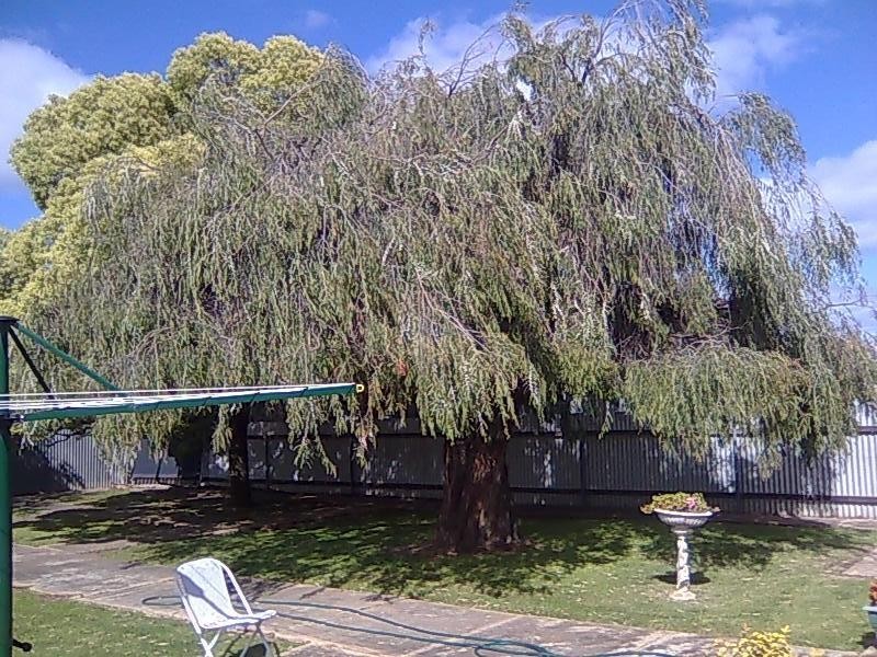 9 Auburn Street, Croydon Park SA 5008