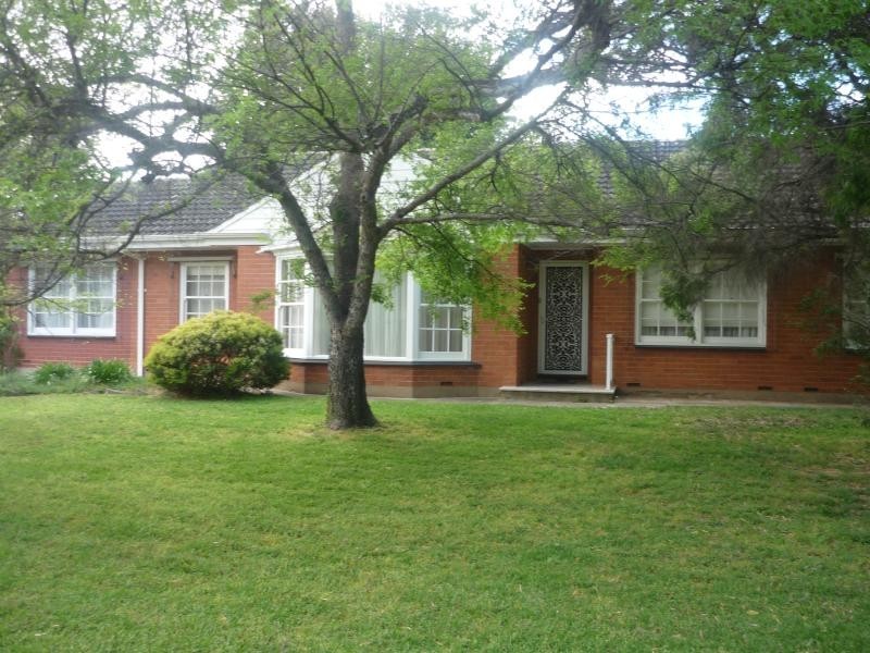 49 Clifford Street, Brooklyn Park SA 5032