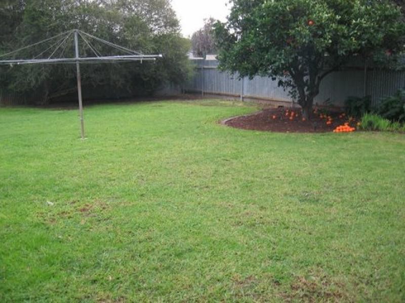 2 Freeman Avenue, Tranmere SA 5073