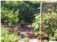 256 Lower Athelstone Road, Athelstone SA 5076
