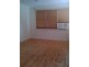 87 Ayers Avenue, Daw Park SA 5041