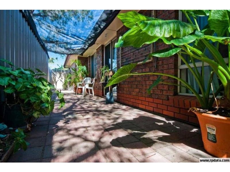 26 Fitzroy Avenue, Camden Park SA 5038