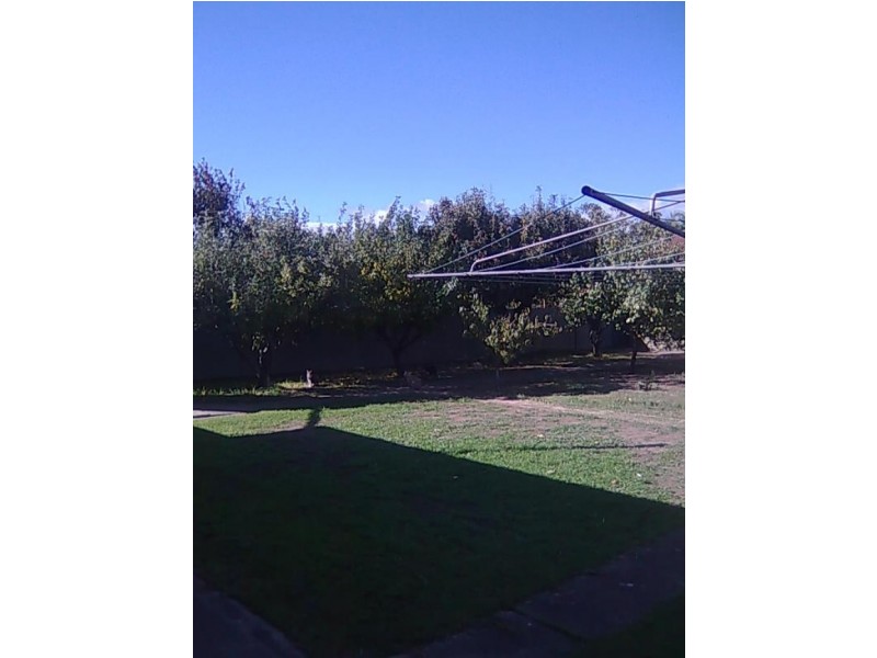 21 Packard Avenue, Croydon Park SA 5008
