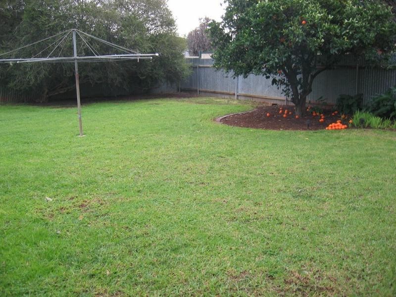 2 Freeman Avenue, Tranmere SA 5073