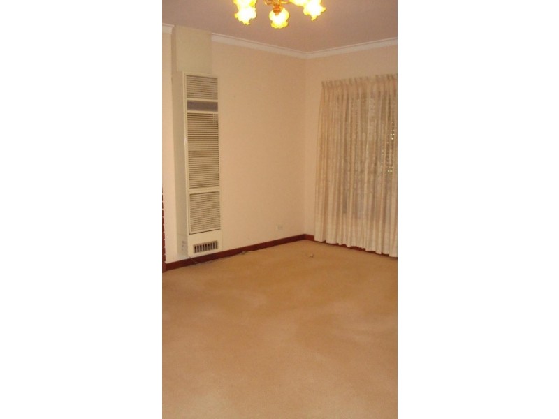 10 South Street, Hectorville SA 5073