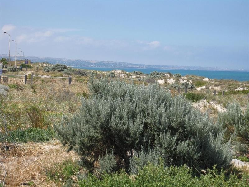 58 Seaview Road, West Beach SA 5024