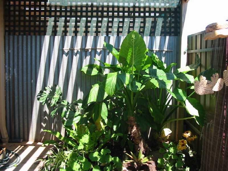 Unit 10/33 Austral Terrace, Morphettville SA 5043