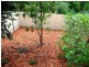 24A Gilbertson Road, Seacliff Park SA 5049