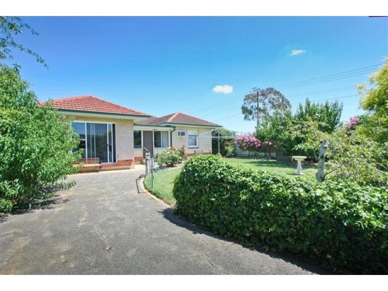 19 Nelson Street, South Plympton SA 5038