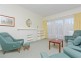 19 Nelson Street, South Plympton SA 5038