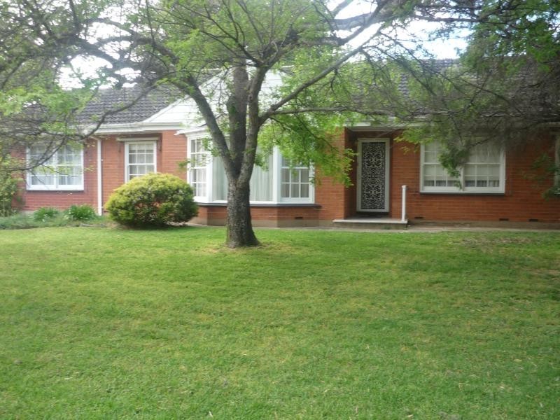 49 Clifford Street, Brooklyn Park SA 5032