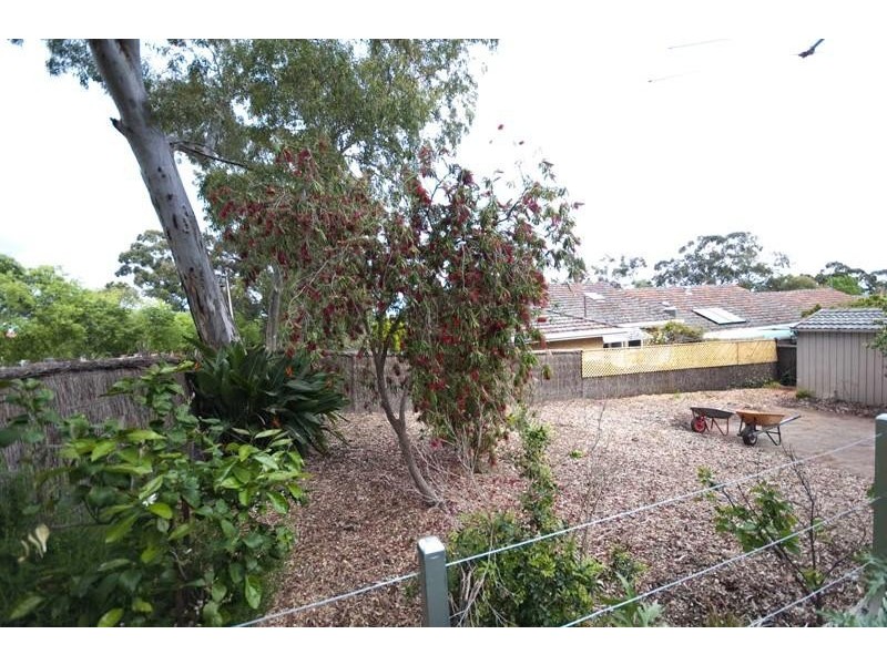 38 Montrose Avenue, Netherby SA 5062