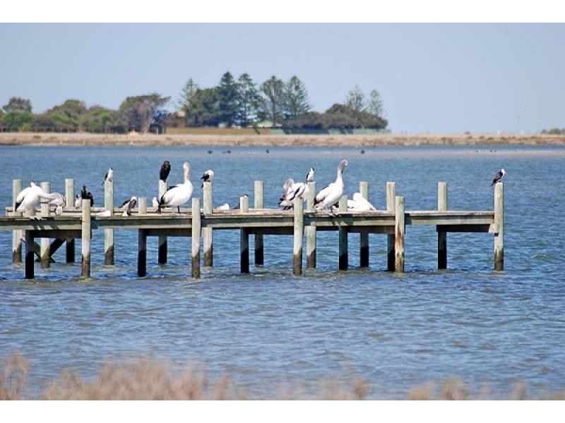 60 Mundoo Channel Drive, Hindmarsh Island SA 5214