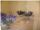 31 Young Street, Sheidow Park SA 5158
