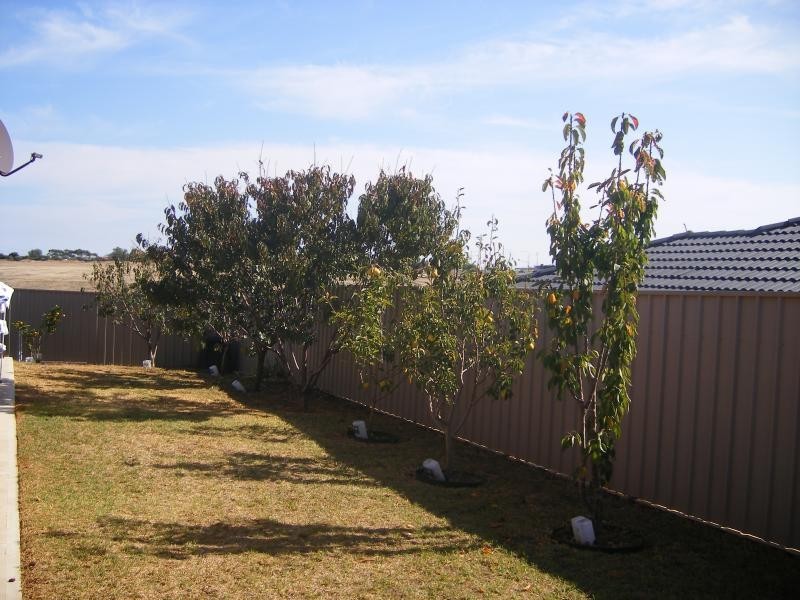 41 Enginehouse Drive, Sheidow Park SA 5158
