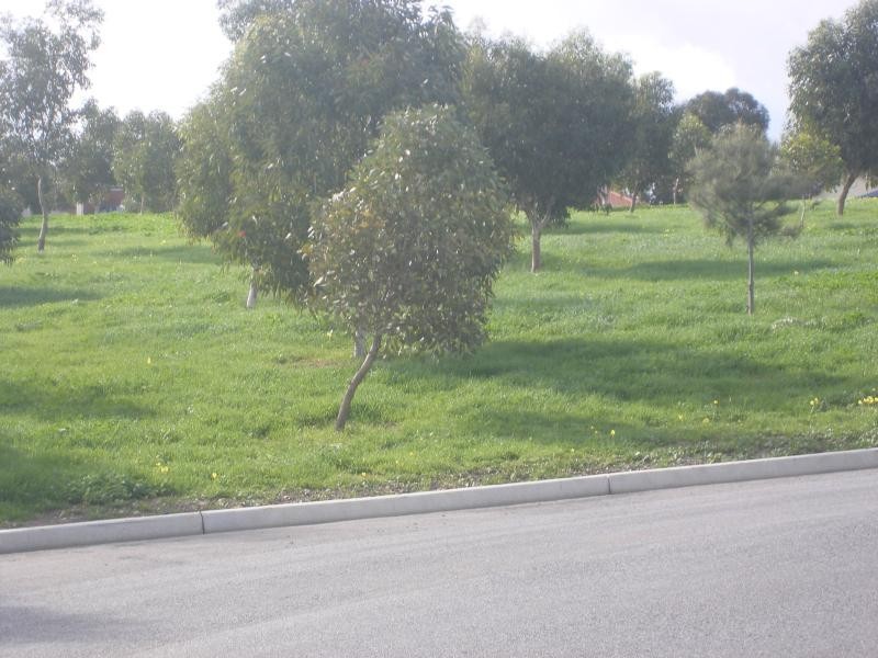 7 Saint Vincent Circuit, Sheidow Park SA 5158