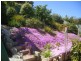 4 Annabelle Drive, Hallett Cove SA 5158