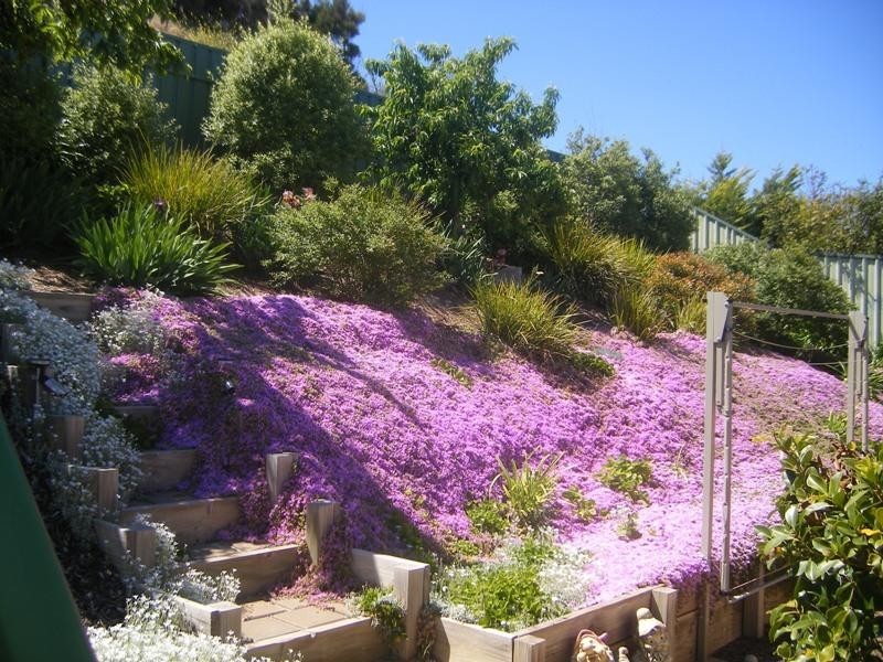4 Annabelle Drive, Hallett Cove SA 5158