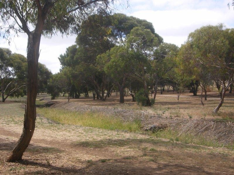 12 Hedgerow Crescent, Hallett Cove SA 5158