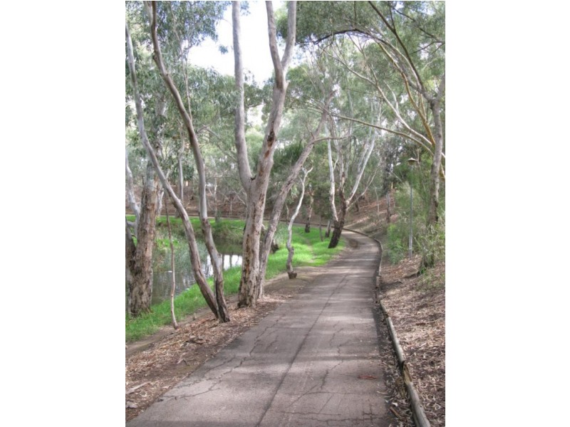 Flinders Park SA 5025