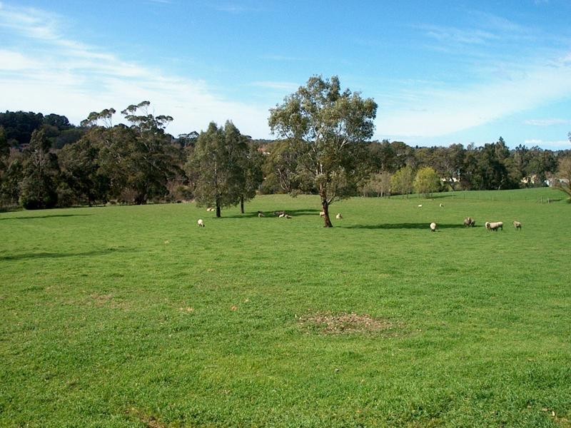 Lot 100/- Onkaparinga Valley Road, Woodside SA 5244