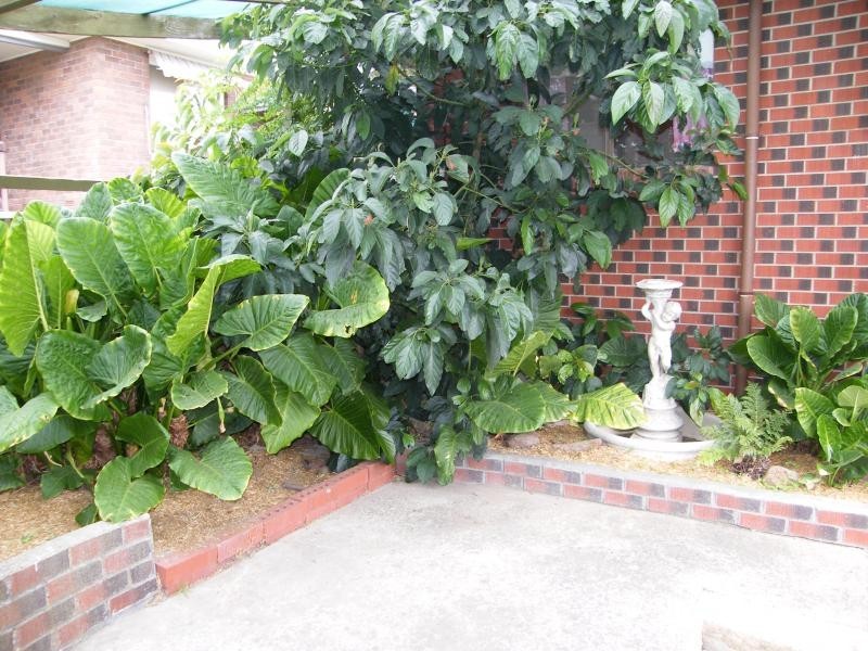 3 David Street, Lobethal SA 5241