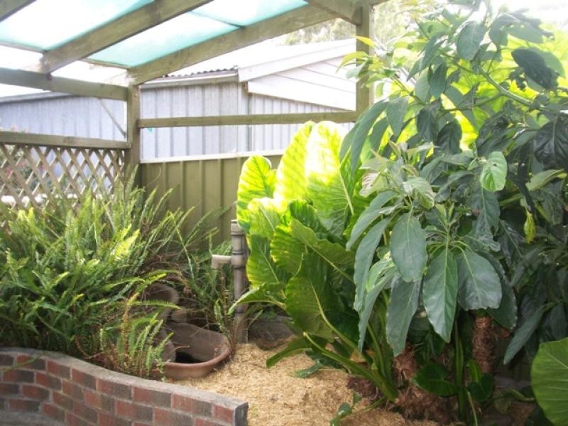 3 David Street, Lobethal SA 5241