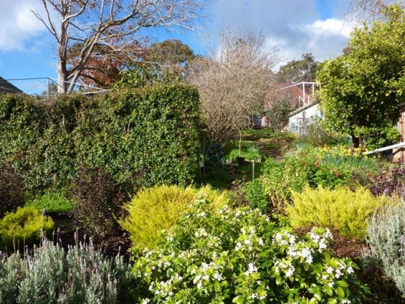 3 Hill Street, Lobethal SA 5241