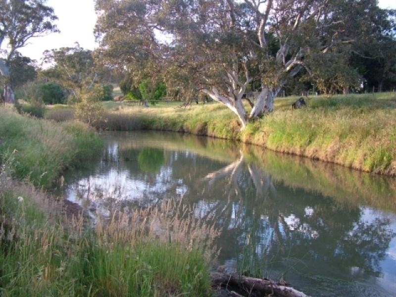 Lot 20/ Adelaide-Mannum Road, Birdwood SA 5234