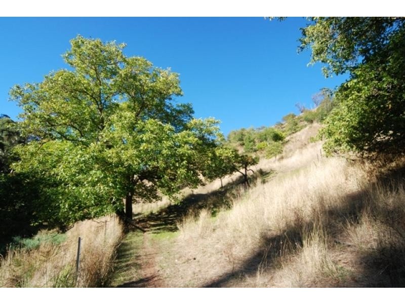 Lot 3/ Merchants Road, Basket Range SA 5138
