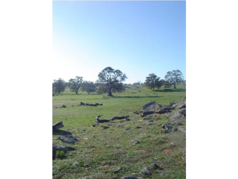 Lot 225/ Pebbly Range Road, Tungkillo SA 5236