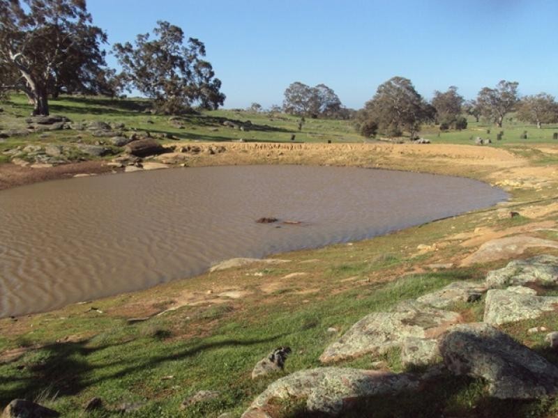 Lot 225/ Pebbly Range Road, Tungkillo SA 5236